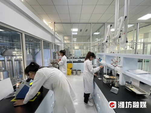 搶風口 布賽道 濰坊諸城以技術(shù)開發(fā)為核心，加速生物制造產(chǎn)業(yè)發(fā)展