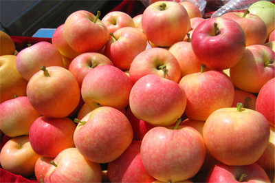 果多美加盟是否靠譜？剖析新鮮水果零售的機遇與挑戰