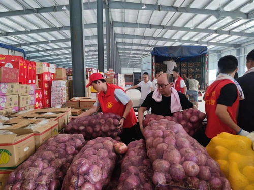 魯豫同心，蔬果傳情 聊城25噸新鮮蔬果馳援河南